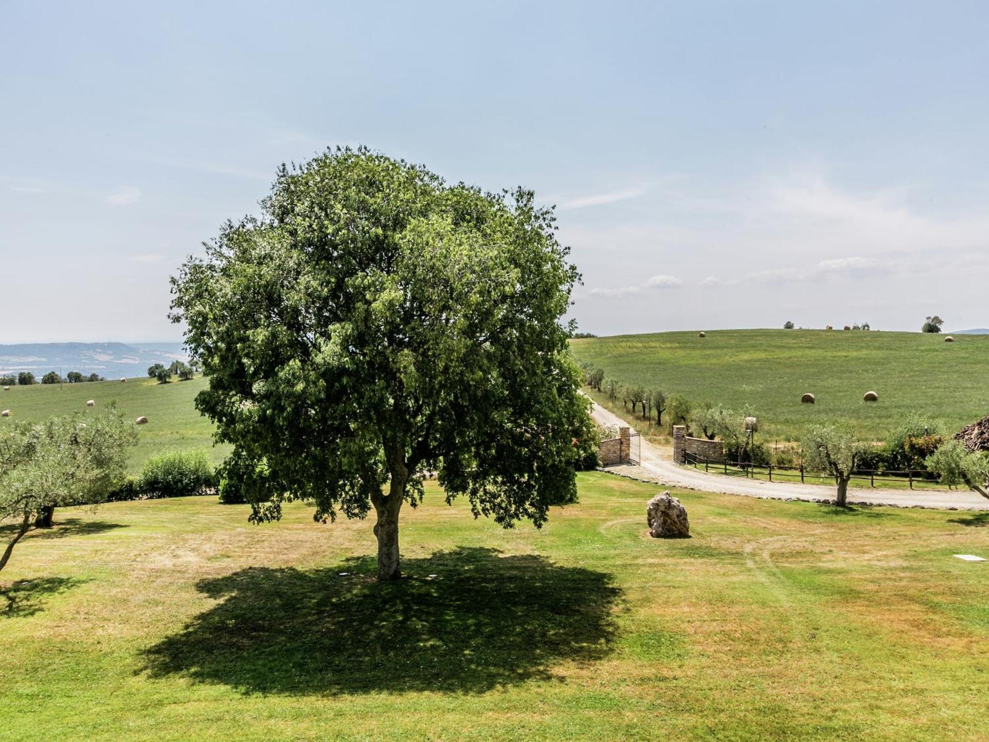 Elegant Apartment Only 1 Hour From Rome Нарни Экстерьер фото